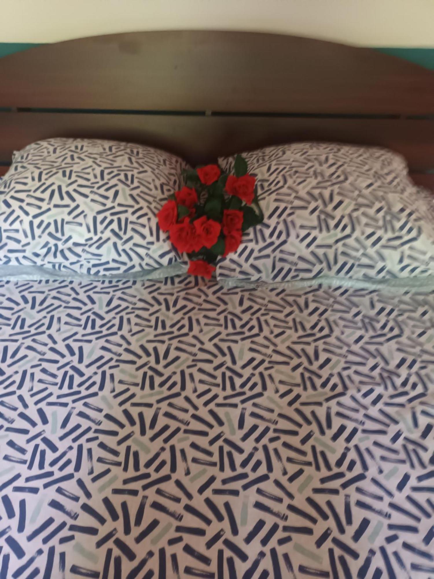 Lovely Flowers In Mount Lavinia Dehiwala-Mount Lavinia Екстериор снимка