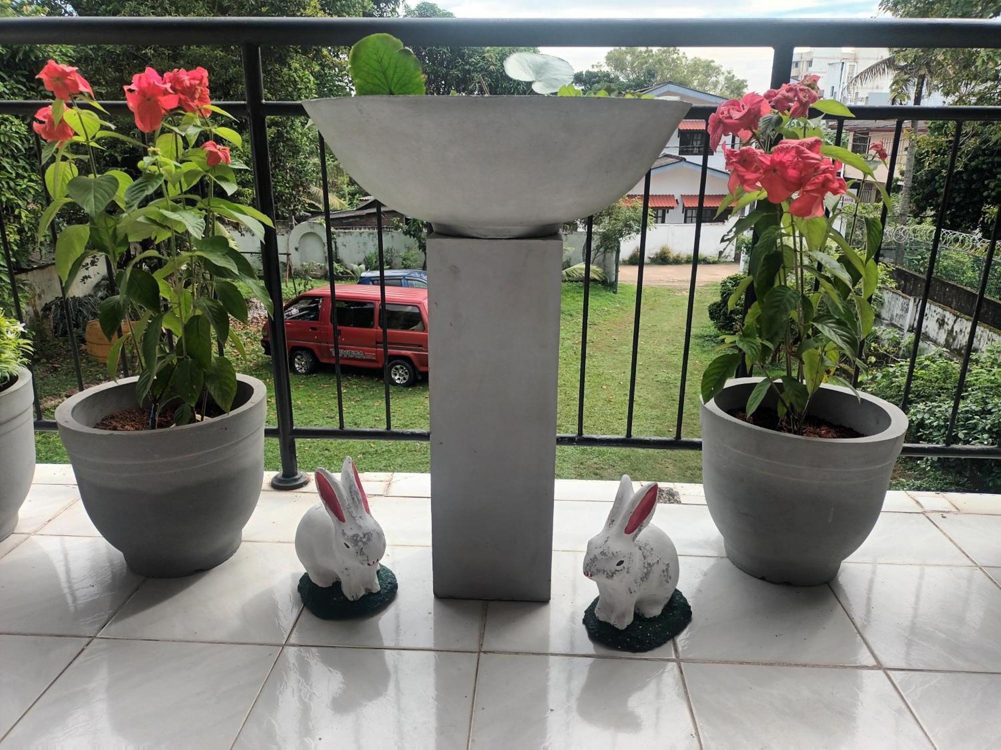 Lovely Flowers In Mount Lavinia Dehiwala-Mount Lavinia Екстериор снимка