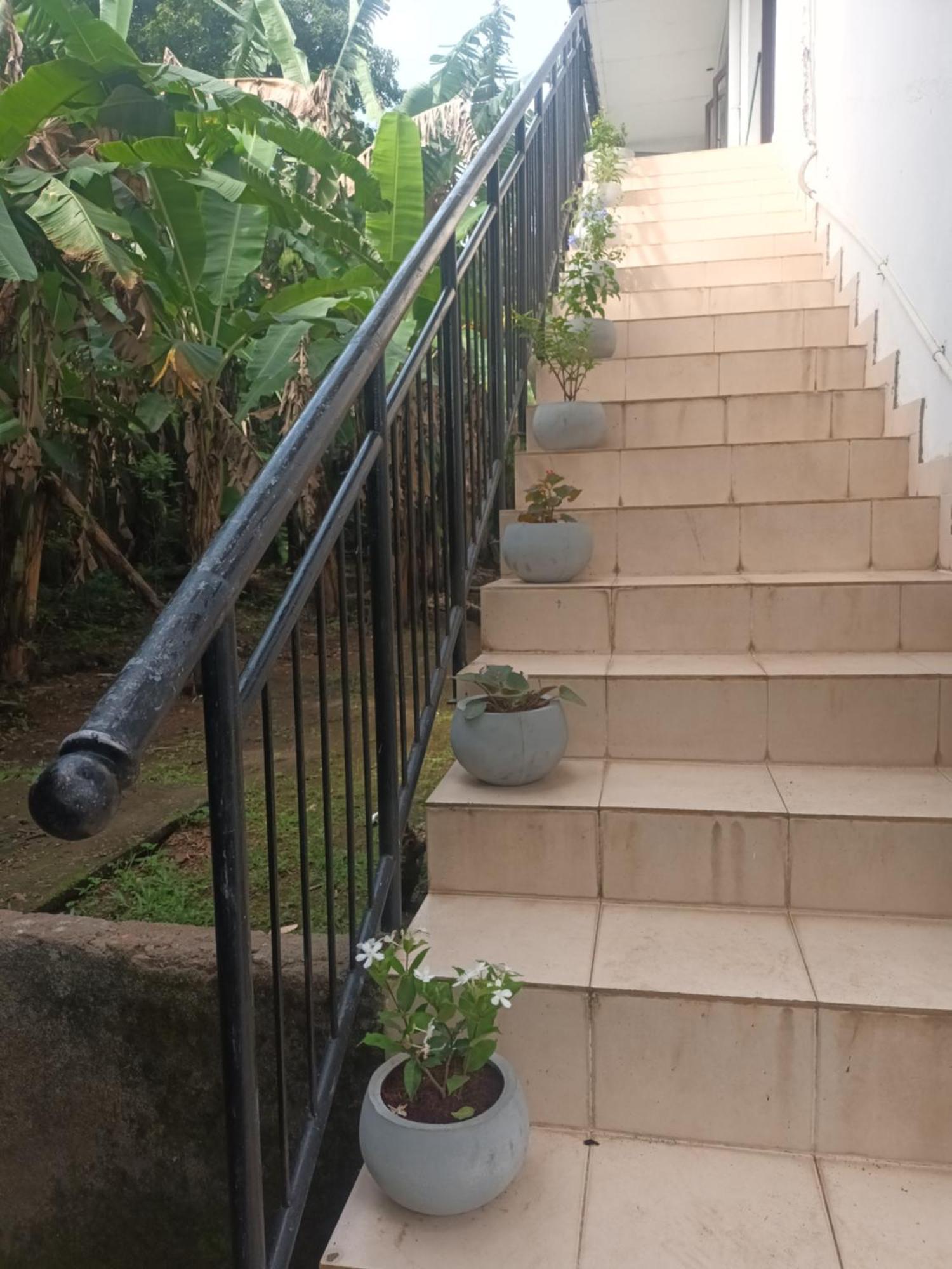 Lovely Flowers In Mount Lavinia Dehiwala-Mount Lavinia Екстериор снимка