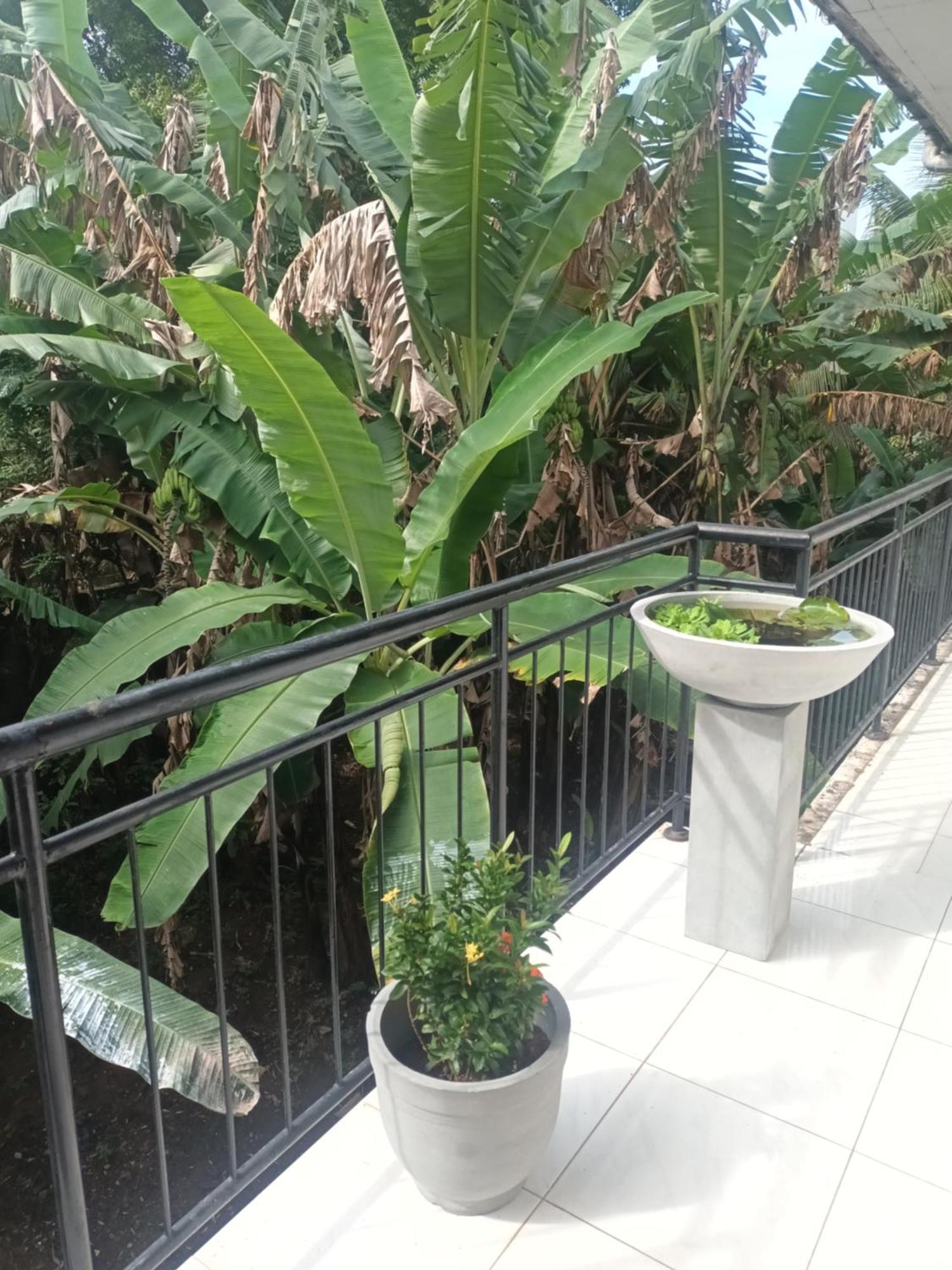 Lovely Flowers In Mount Lavinia Dehiwala-Mount Lavinia Екстериор снимка