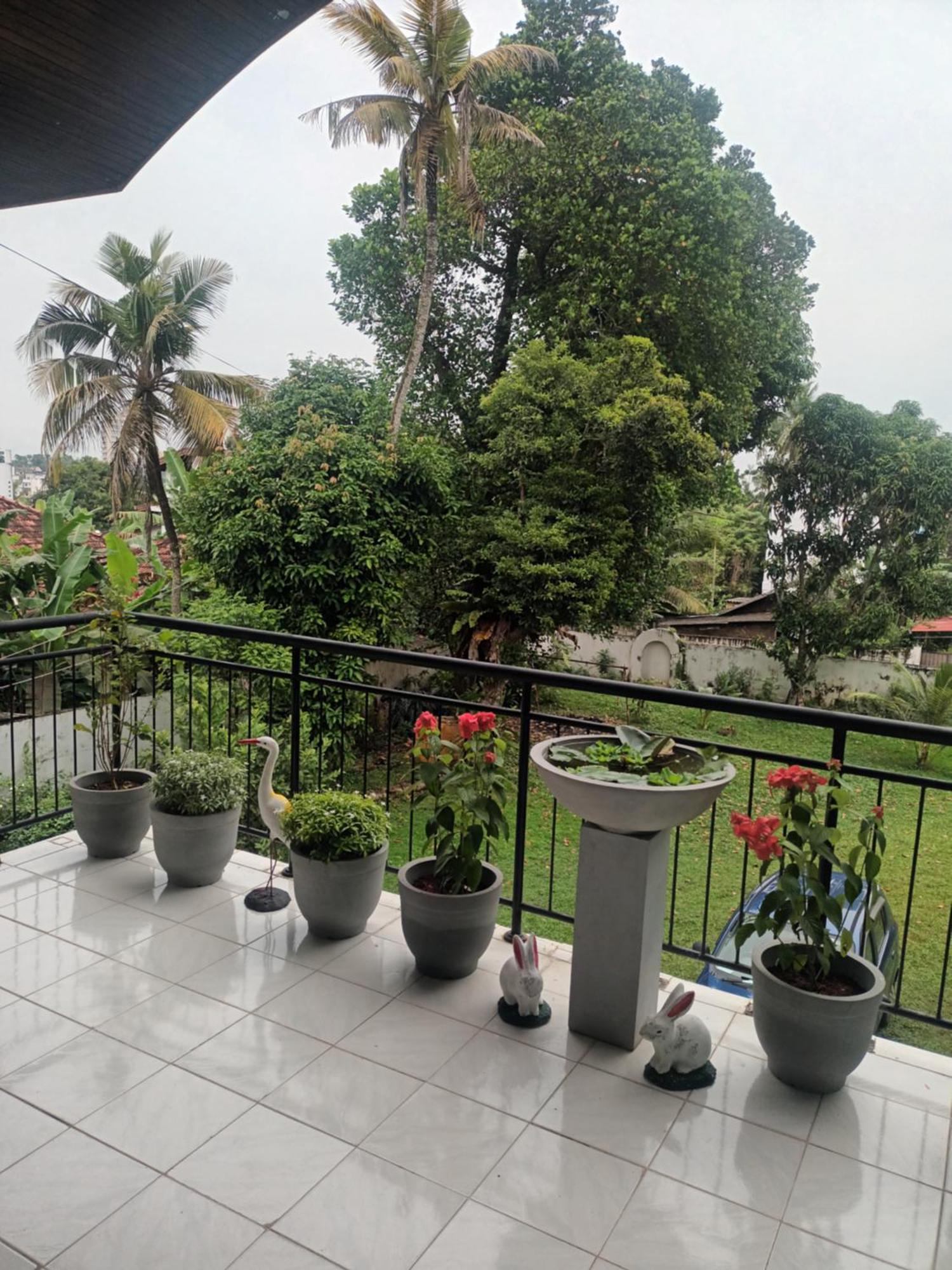 Lovely Flowers In Mount Lavinia Dehiwala-Mount Lavinia Екстериор снимка