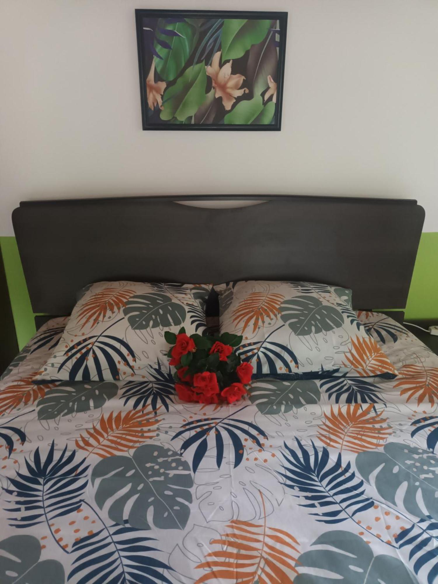 Lovely Flowers In Mount Lavinia Dehiwala-Mount Lavinia Екстериор снимка