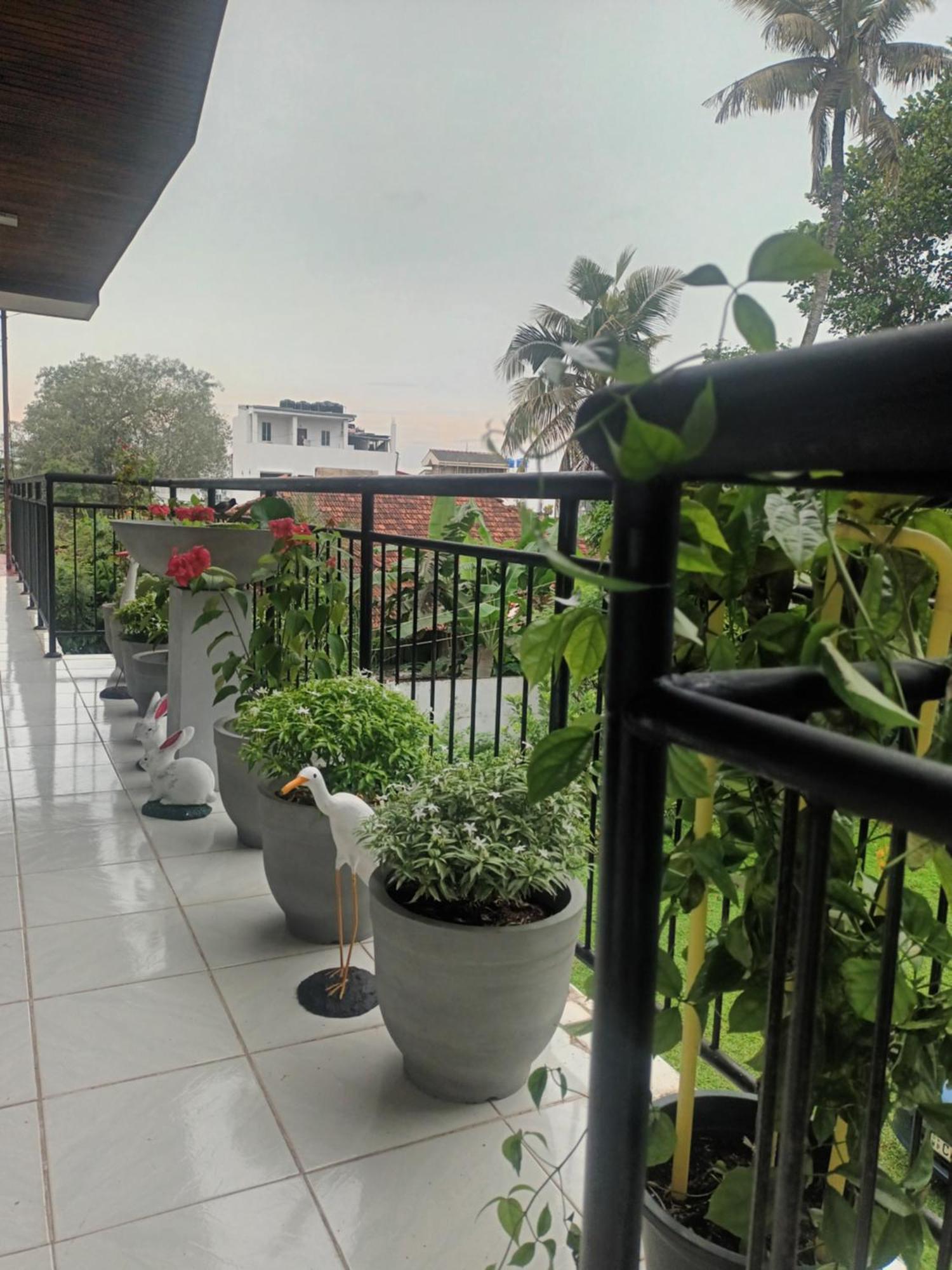 Lovely Flowers In Mount Lavinia Dehiwala-Mount Lavinia Екстериор снимка